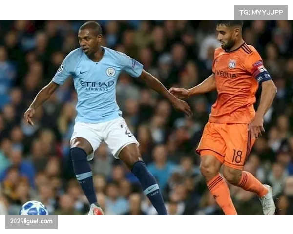 里昂新主场照明系统升级完成，能耗预计降低30%